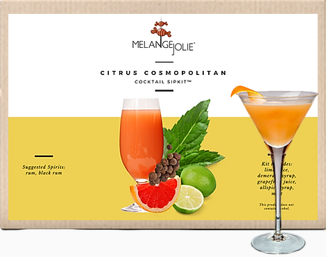 Mélange Jolie Citrus Cosmopolitan Cocktail SipKit™ with ingredients and tools for cocktail making, including a martini glass and dehydrated fruits.